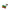Flag of Ethiopia Lapel Pin Lapel Pin Clinks