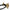 Dark Wood Outline Adult Bow Tie in Check Bow Ties Clinks Australia